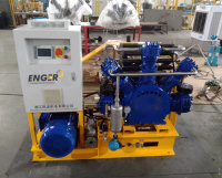 Компрессор поршневой дожимной (бустер) Enger NSW-2.4/8-35 GPD VSD Компрессор поршневой дожимной (бустер) Enger NSW-2.4/8-35 GPD VSD